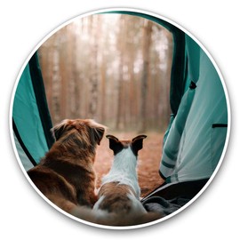 Vinyl Stickers (Set of 2) 25cm - Dogs Camping Tent Forest #12696