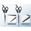 Goods Land GD-HASAMISET [3-Piece Set] Cutting Scissors, Scissors, Scissors, Comb,