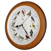 Lovely Collection 14-inch Plays 12 Popular North American Bird's Songs
