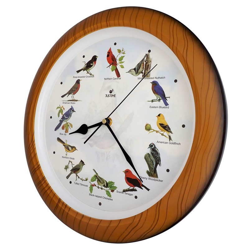 Lovely Collection 14-inch Plays 12 Popular North American Bird's Songs