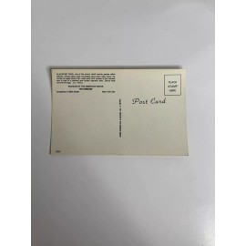 Blackfeet Man at Museum of American Indian Heye Foundation- Postcard - 1977