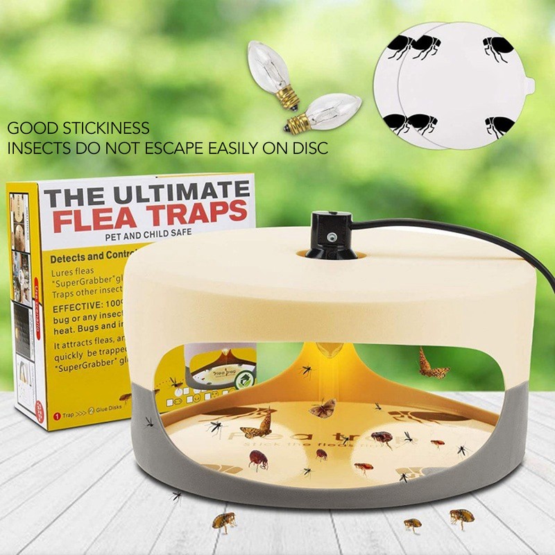 Sticky Dome Flea Capture Trap Bug Trap with 2 Glue