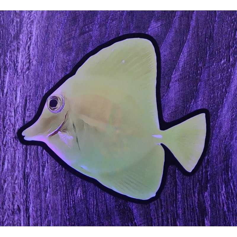 Aquatic Planet Reef Tank Fish Stickers Holographic Shiny Corals for