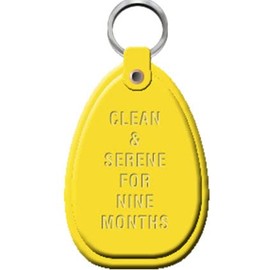 RecoveryChip NA Keychain Yellow 9 Month Sobriety Narcotics Anonymous Nine Months Keytag