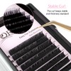 Oreola Volume Eyelashes, D Curl, 0.07 mm Thick, 12 mm