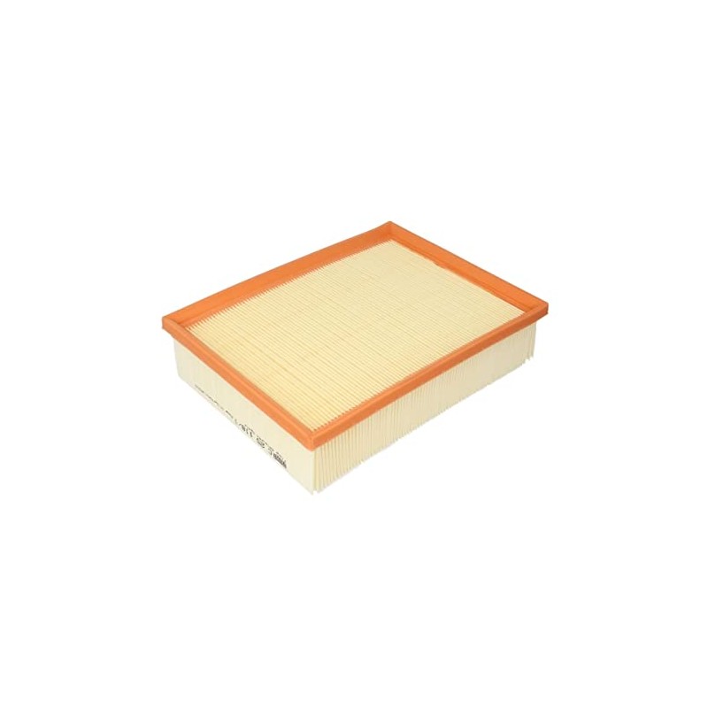 Mann+Hummel C251181 Air Filter