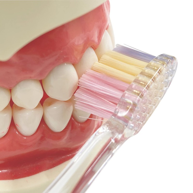 B-8067M プログリップハブラシｔｙｐｅIII ふつう 3本組