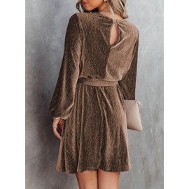 Happy Sailed Fashion Velvet Dress for Women 2025 Fall Long Sleeve Tie Waist Swing Skater Elegant Cocktail Party Dresses Brown Small