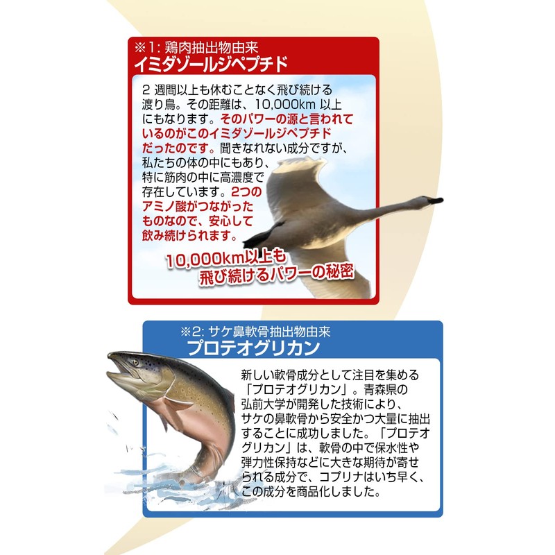 Glucosamine EX 180 grains 2 pieces 60 days worth Coplina]