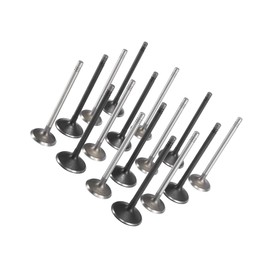 VekAuto 16pcs Intake Exhaust Engine Valves 12615936 for Chevy Cavalier Cobalt HHR Malibu for Oldsmobile Alero for Pontiac G5 G6 Grand Am for Saturn LS1 LW1 for GM 2.0L Auto Accessories