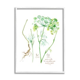 Stupell Industries Dill Greens Best of Herbs Garden Plants, Designed by Verbrugge Watercolor White Framed Wall Art, 11 x 14