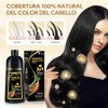 Black Hair Dye Shampoo 3 in 1, Shampoo para Canas
