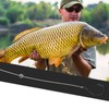 Split Shots for Fishing - Angling Weights Sinkers | Portable