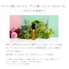Do Organic Refining Hair Oil Smooth Hair Oil Body
