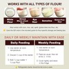 Sourdough Starter Culture (2 packet), Gluten Free Sourdough Starter Culture,