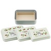 Skater SLUS3AG-A Antibacterial Sealing Containers, Set of 3, Storage Containers,
