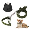 Dog Leash, Training Lead 1.2M, Anti Pull Dog Leads with