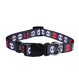 ASTORPET | Adjustable Dog Collar, Soft and Durable for Small Medium Large Dogs, Buckle with Safety Clasp, Model Corso - Large