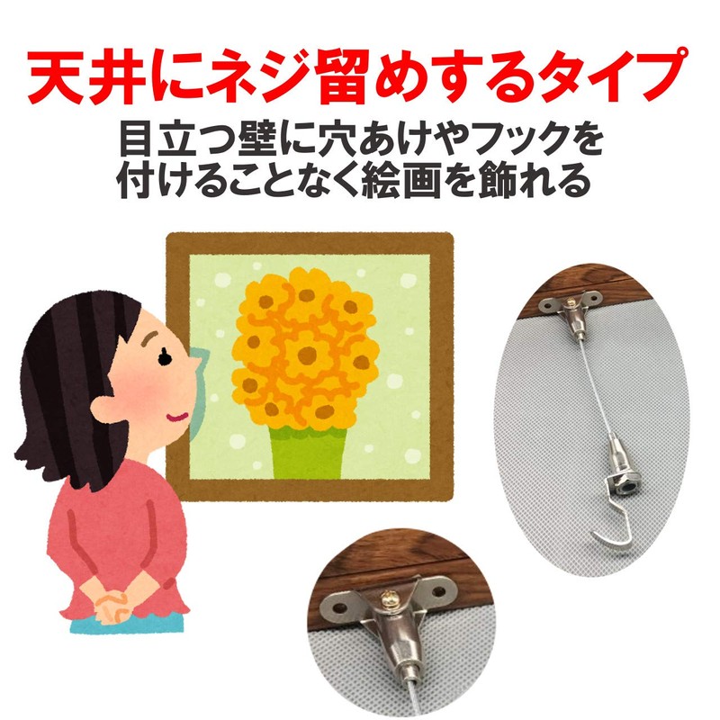 HAMILO Picture Wire Hooks, Frame Hanging, Poster Hook Wire, Adjustable