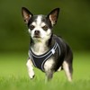 HEELE Dog Harness Small Dog Puppies Step-in Harness Soft Mesh
