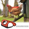 Patty Both Chicken Apron for Hens, Adjustable Protective Saddle, Red