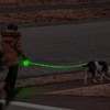 Luwint LED Dog Leash Retractable 8.8ft - Light Up Dog