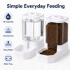 4L Gravity Pet Feeder & Waterer Set for Cats &