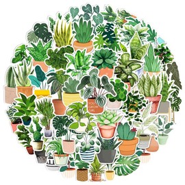 Plant Stickers 50 Pieces Green Potted Plants Plants Water Bottle Stickers Waterproof Laptop Guitar Skateboard Scrapbooking Thin Vinyl Decorative Stickers