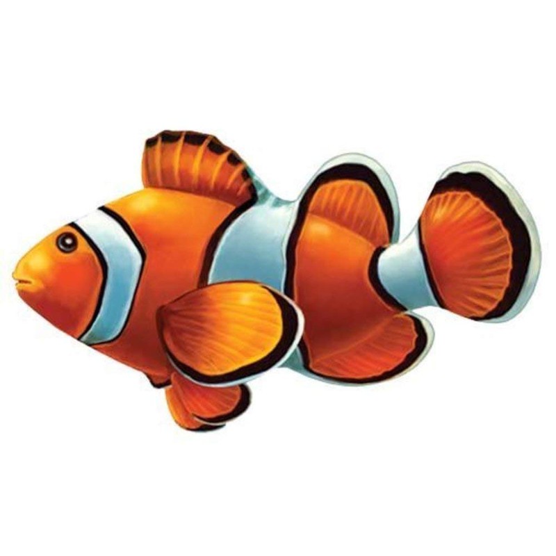 Clown Fish Porcelain Swimming Pool Mosaic (5" x 3")