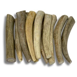 WhiteTail Naturals - Deer Antlers for Extra Small Dogs - (12-Pack) - Natural Dog Antler Chews for Puppies & Small Aggressive Chewers - Long Lasting Chew Bones