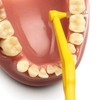 TePe Angle Yellow Interdental Brushes (0.7mm - Size 4) /
