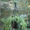 Bloem Dura Cotta Self Watering Hanging Basket Planter 12" Chocolate