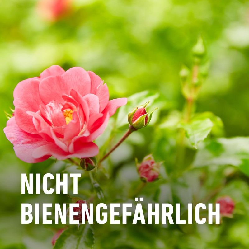 Compo Duaxo® universal fungus-free plant protector