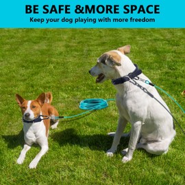 Dog Tie Out Cable 50FT-500Lbs,Heavy Duty Dog Leads Line for Yard with Swivel Hook,Medium Large Dogs Leash&Chains for Outside,Rust Chew Proof Dogs Run Cable for Outdoor Camping(Teal, 50FT)