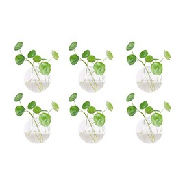 Dubee 6 Pcs Glass Wall Hanging Planter Terrariums,Glass Wall Hanging Vases for Plants Indoor,Glass Plant Containers for Air Plant,Succulents and Candle Display.