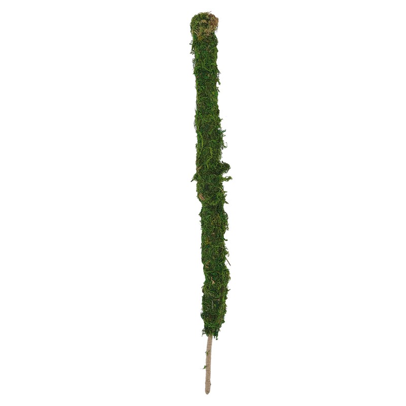 Moss Pole Bendable Safe Moss Plant Rod Plant Support Gardening