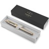 Parker IM Fountain Pen | Premium Warm Silver | Fine
