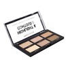 Profusion Cosmetics Mini Artistry Highlight & Contour I - Light