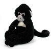 The Petting Zoo Spider Monkey Stuffed Animal Plushie, Gifts for