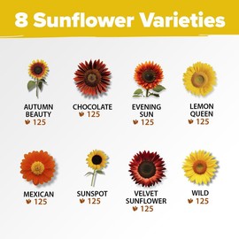 Home Grown Sunflower Seeds for Planting 8 Varieties - 1000+ Seeds Including Mexican, Sunspot, Velvet Queen, Wild, and Lemon Queen
