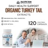 Pacific Rim Mushrooms Pacific Rim Mushrooms Turkey Tail Supplement |