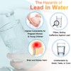 AAWipes Lead Water Testing Kit (2-Pack) ?Rapid 15 Minutes Results