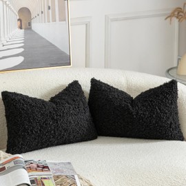 YAERTUN Pack of 2 Faux Fur Throw Pillow Covers Decorative Sherpa Boucle Pillow Covers Fuzzy Soft Pillowcases Sheepskin Fleece Cushion Case for Couch Sofa Bed Living Room 12x20 Inch Black