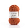 Bio Wool 100% Organic Wool Yarn - Knitting/Crochet Worsted Aran