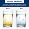 US Water Systems Carbon Water Filter 20 x 4.5, Whole