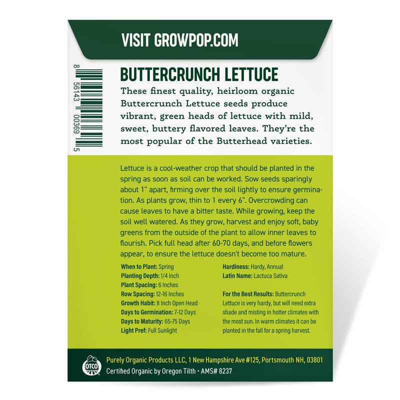 Organic Lettuce Seeds (Heirloom Buttercrunch) - Approx 1500 Seeds -