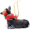 Conversation Concepts Okapi Original Ornament