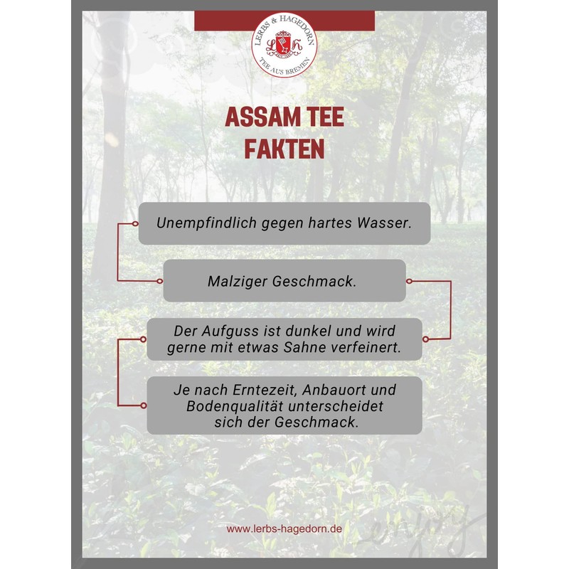 Lerbs & Hagedorn, Assam Tea TGFOP "Towkok" Premium | Tippig,