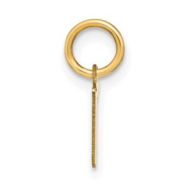 14K Yellow Gold Lowercase Letter R Initial Charm XNA1383Y/R