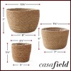 Casafield Set of 3 Seagrass Planter Baskets with Liners -